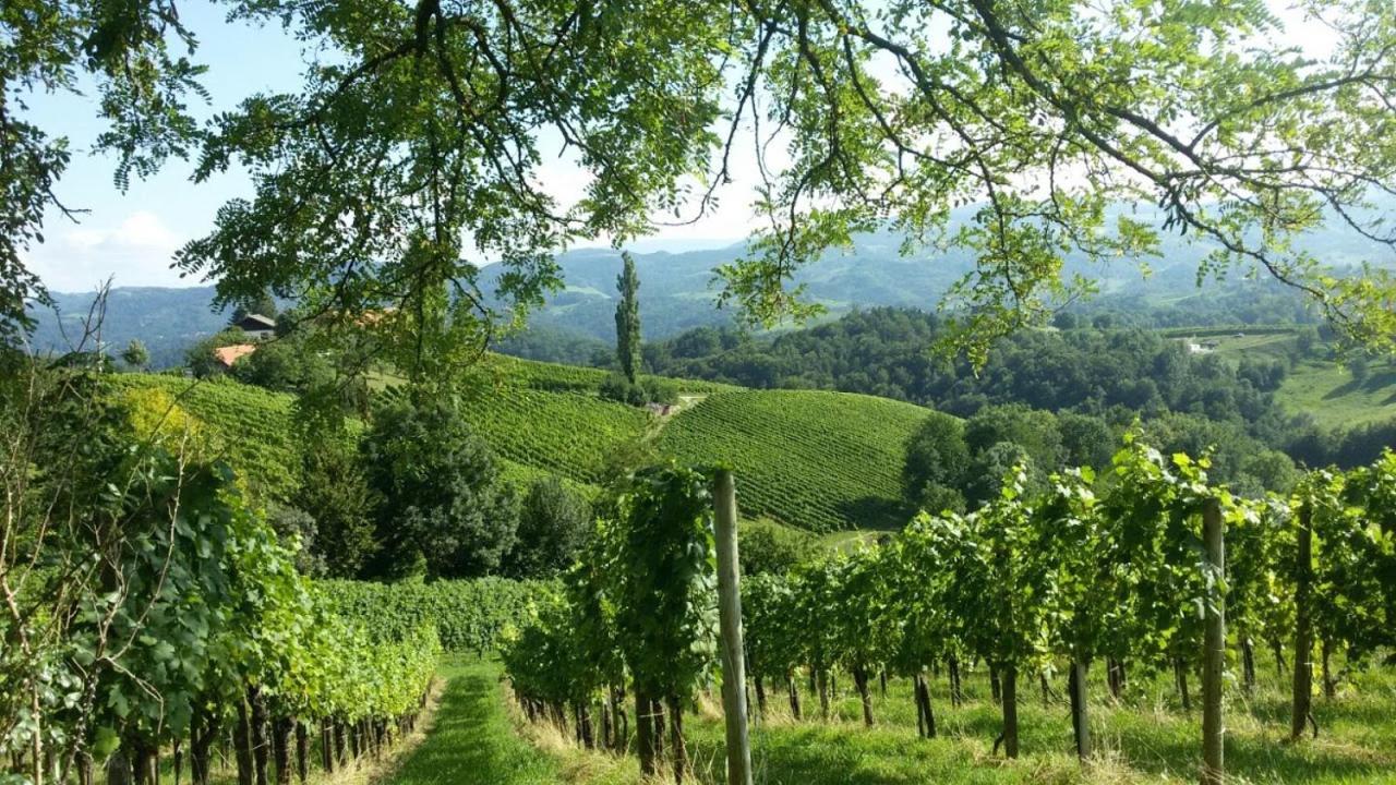 Das Weinberghaus Ratsch an der Weinstrasse Exterior photo