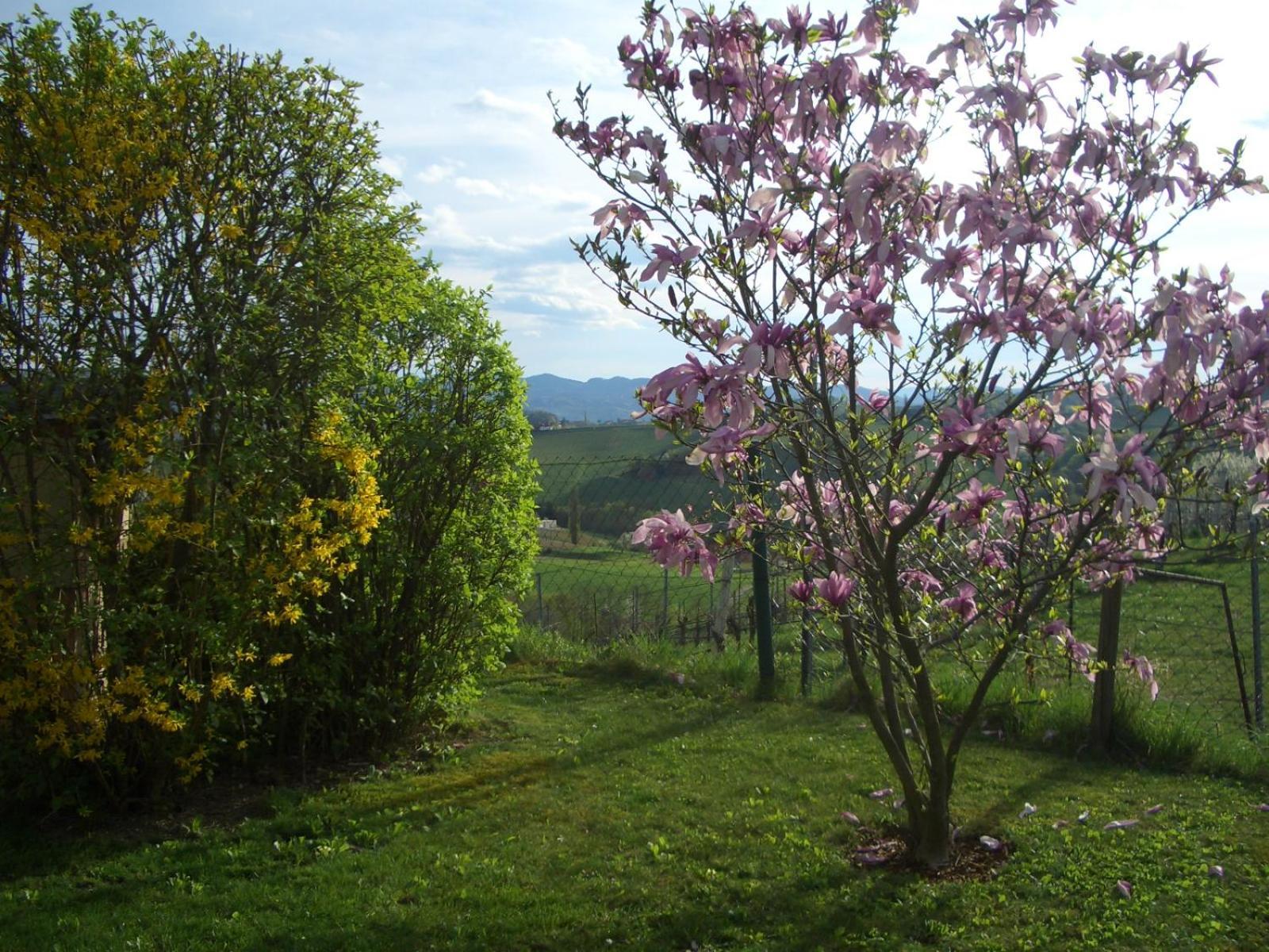 Das Weinberghaus Ratsch an der Weinstrasse Exterior photo