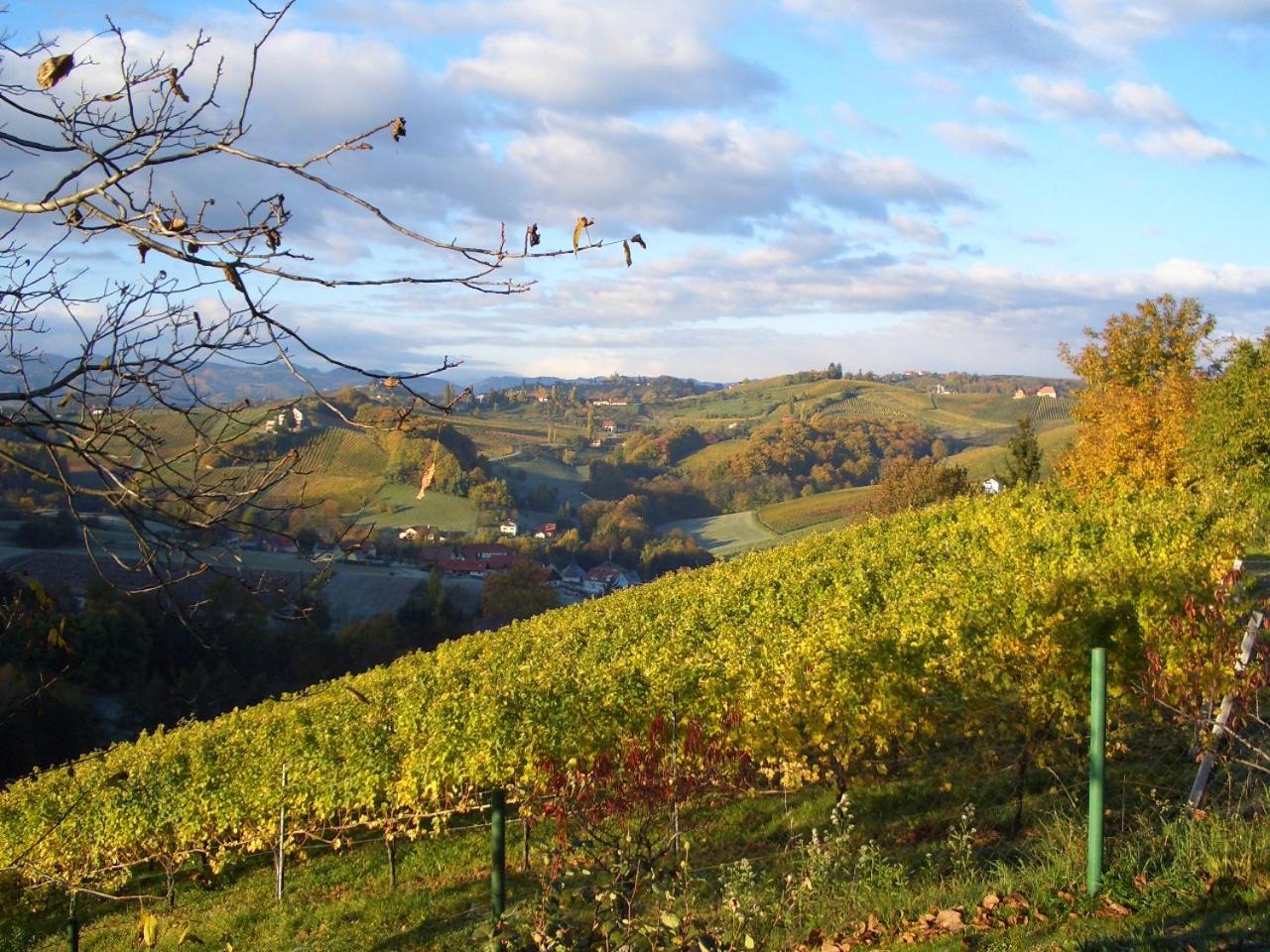 Das Weinberghaus Ratsch an der Weinstrasse Exterior photo